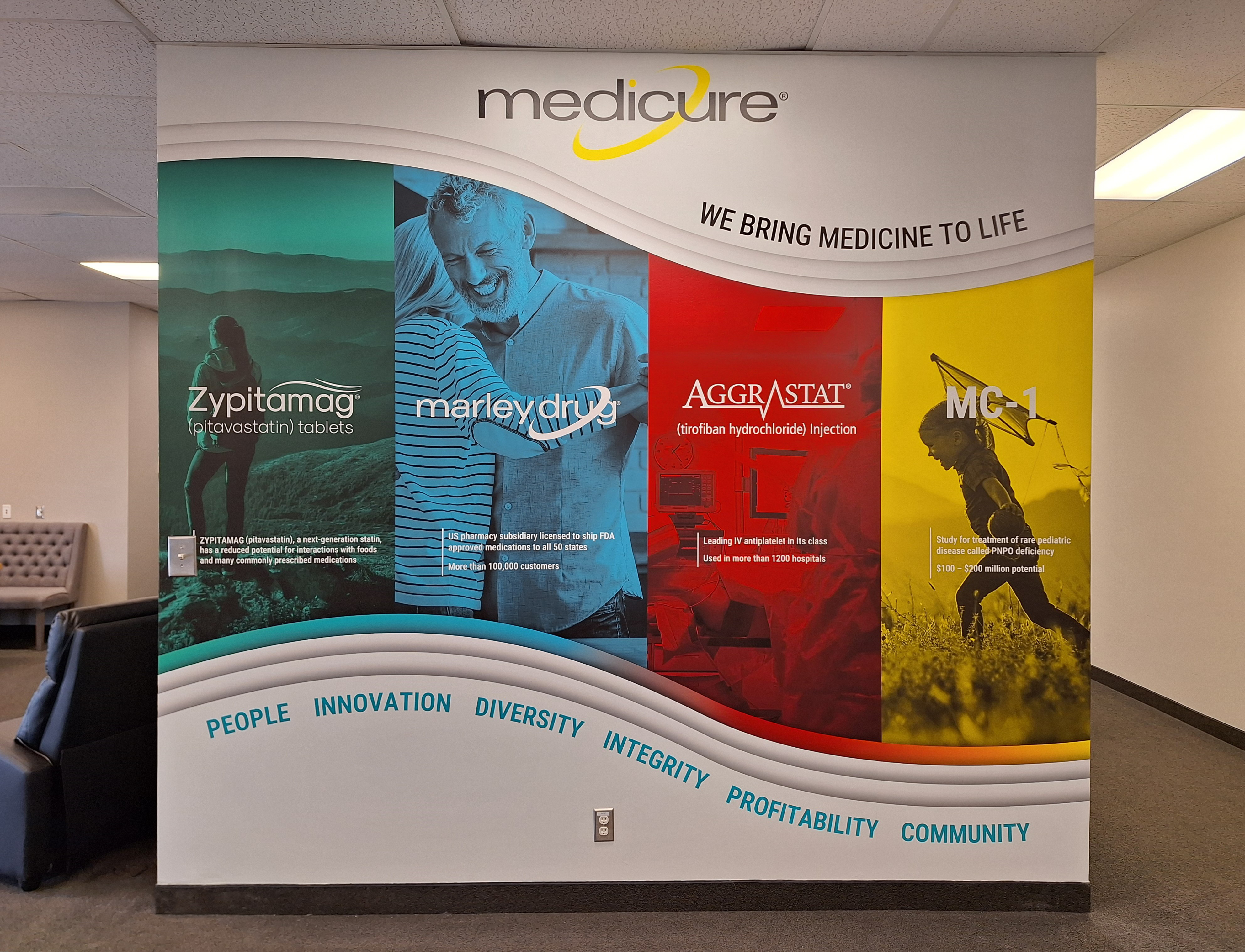 Custom Interior Wall Graphic