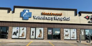 veterinary
